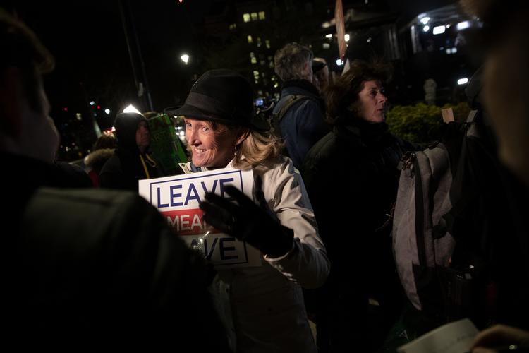 Med et lamineret skilt med ordene 'Leave Means Leave' i hænderne, har Pam Watts netop hørt nyheden inde fra Underhuset i Westminster. Foto: Peter Hove Olesen/POLFOTO