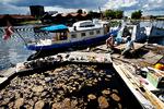 Pirathavnen mellem Christiania og Holmen i København skulle være fjernet nu. Men myndighederne går først i gang med at rydde den såkaldte Fredens Havn efter sommerferien.
   Foto: Martin Lehmann/POLFOTO