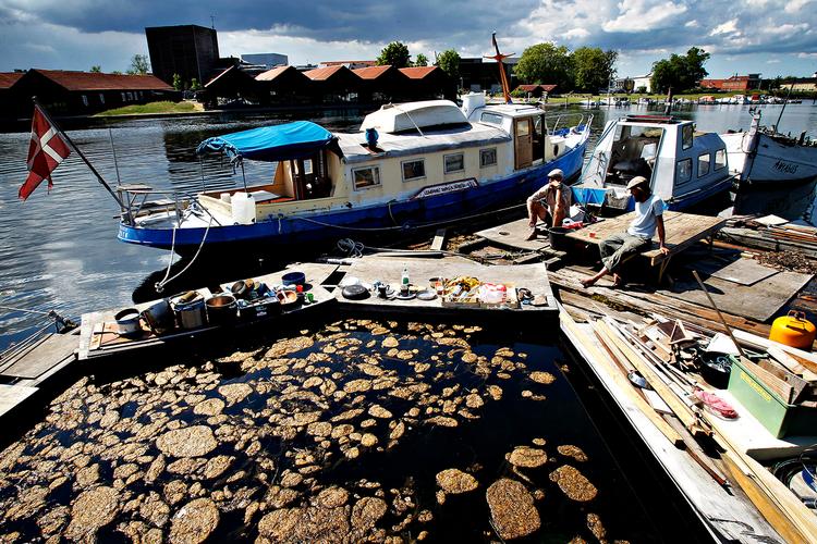 Pirathavnen mellem Christiania og Holmen i København skulle være fjernet nu. Men myndighederne går først i gang med at rydde den såkaldte Fredens Havn efter sommerferien.
   Foto: Martin Lehmann/POLFOTO