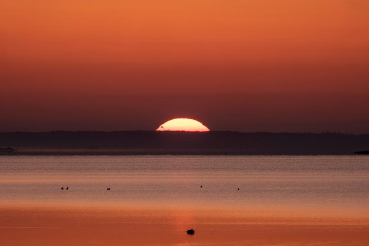 For journalist Esben Kjær er orange solopgange en hilsen fra hans afdøde, rødblonde søn Sebastian. I en ny sorgbog giver han råd og vejledning, der kan lette sorg hos efterladte.   Foto: Per Rasmussen/POLFOTO