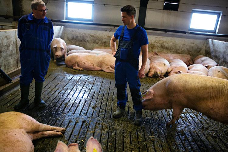 Jans Gammelgaard og Allan Gammelgaard ejer hver 50 procent af den bedrift, faren startede for i dag 40 år siden.  Foto: Martin Lehmann/POLFOTO