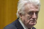 Radovan Karadzic redigerer på dommen.  Foto: Peter Dejong/Ritzau Scanpix