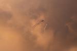 En israelsk apache-helikopter over Gaza-striben.  Foto: Mohammed Salem/Ritzau Scanpix