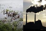 God dårlig Filsø klimaet