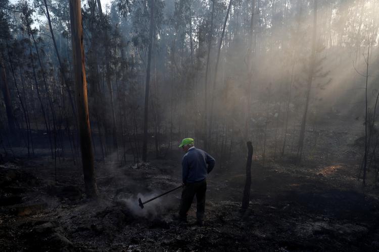 En landsbyboer hjælper med at bekæmpe flammerne ved en brand nær Aroes i Portugal tidligere på ugen.  Foto: Rafael Marchante/Ritzau Scanpix