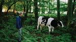 Svenske John Skoogs sanselige film 'Ridge' fra Skåne vandt hovedprisen ved den internationale dokumentarfilmfestival, Cph:Dox.    