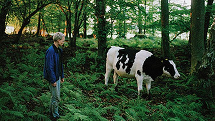 Svenske John Skoogs sanselige film 'Ridge' fra Skåne vandt hovedprisen ved den internationale dokumentarfilmfestival, Cph:Dox.    