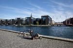 Inderhavnen myldrer af liv om sommeren. Nu er det på tide med en strategi for det blå bælte, der bugter sig gennem bykortet.  Foto: Finn Frandsen/POLFOTO