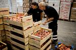 Især udenlandsk frugt og grønt har mange giftrester, som man ikke kender langtidseffekten af. Her inspicerer Fødevarestyrelsens rejsehold italienske ferskner. Arkivfoto.
 Foto: Lærke Posselt/POLFOTO