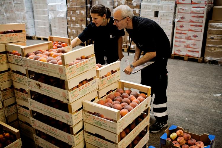 Især udenlandsk frugt og grønt har mange giftrester, som man ikke kender langtidseffekten af. Her inspicerer Fødevarestyrelsens rejsehold italienske ferskner. Arkivfoto.
 Foto: Lærke Posselt/POLFOTO