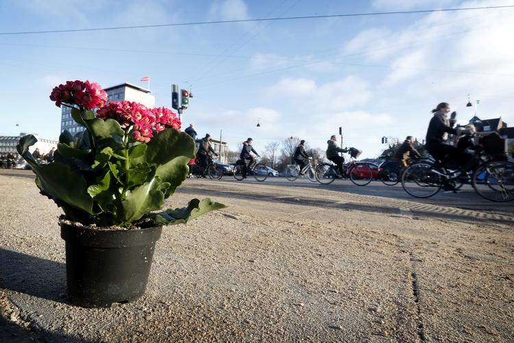Ulykken skete i et kryds, hvor cykelstien det sidste stykke op mod krydset er opgivet, så der er bedre plads til motorkøretøjer, der skal dreje til højre. Foto: Jens Dresling/POLFOTO