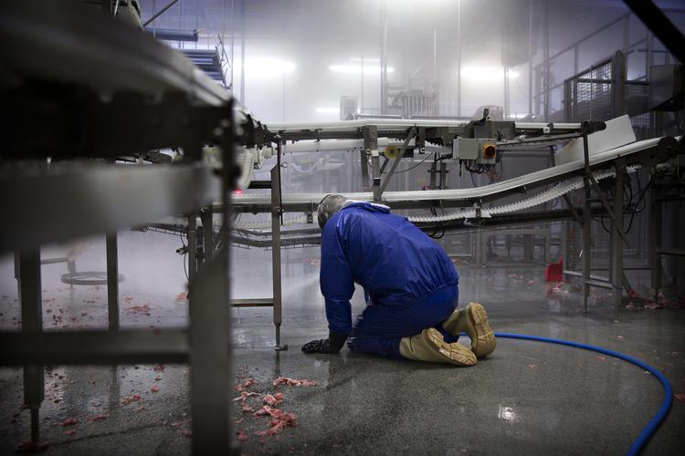 Rengøringsarbejde er hårdt. Til gengæld giver det ikke særligt god løn. Nu rammes britiske ISS-ansatte af udsatte lønninger. Arkivfoto fra rengøring på slagteri. Foto: Jacob Ehrbahn/POLFOTO