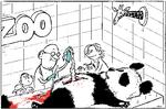 Foto: Philip Ytournel/POLITIKEN