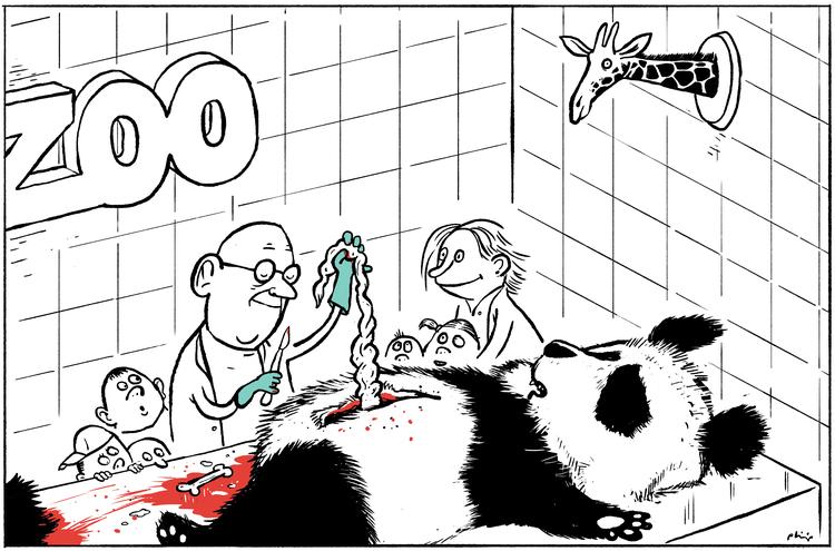 Foto: Philip Ytournel/POLITIKEN