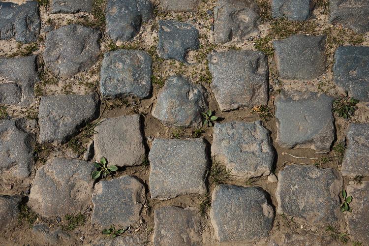 Velkommen, siger brostenene i Nordfrankrig til cykelrytterne, vi skal nok tage os pænt af jer og sikre, at I får en fornøjelig søndag. Foto: Gregers Tycho/POLFOTO