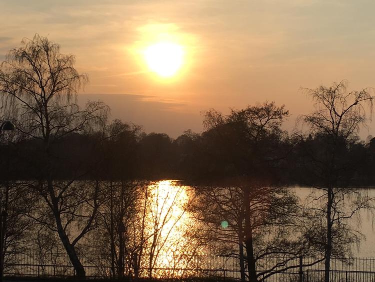 Foto: Lise Rønnebæk