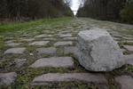 2.200 meter med brosten i Arenberg-skoven venter truende på deltagerne i Paris-Roubaix. Foto: Pressesports. 