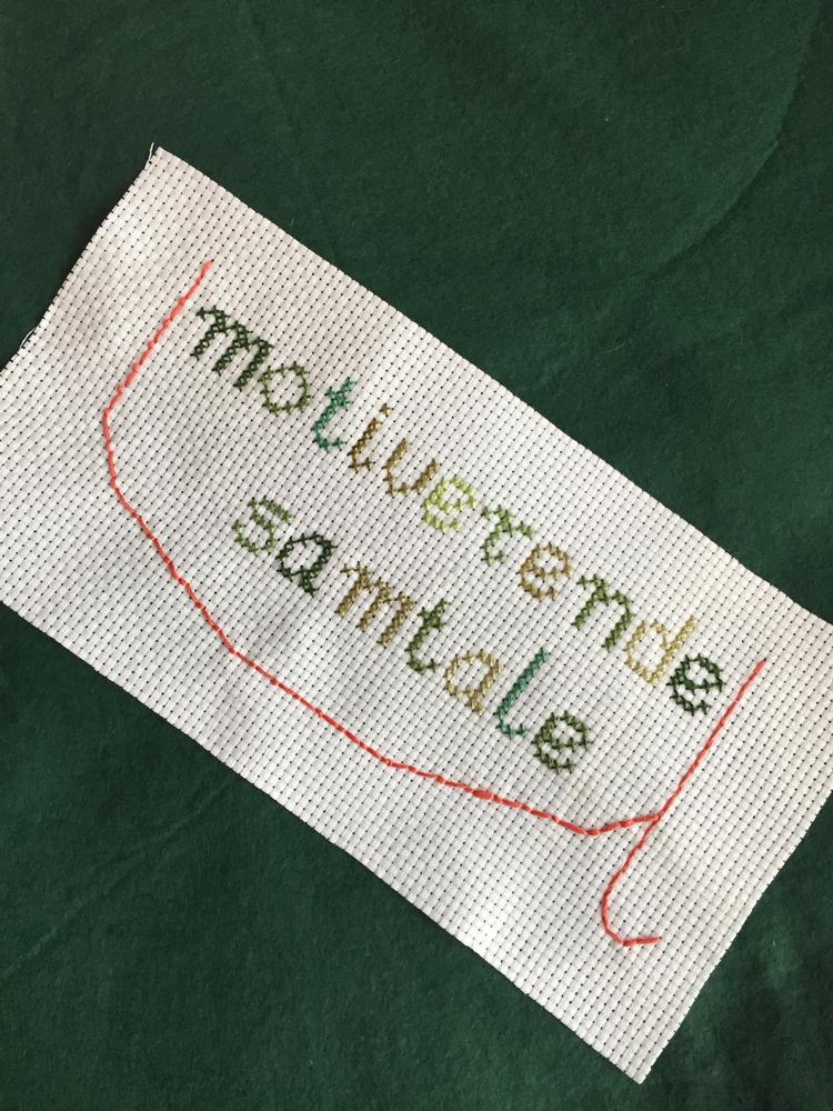 Hvem ville kalde nogen til en umotiverende samtale, spørger samfundskritikeren og brodøsen Lif Rosenkvist. Hun broderede et stort rødt u, man selv kan sætte på, hvis man får kvalme af den indholdsløse formulering. Foto: Privat