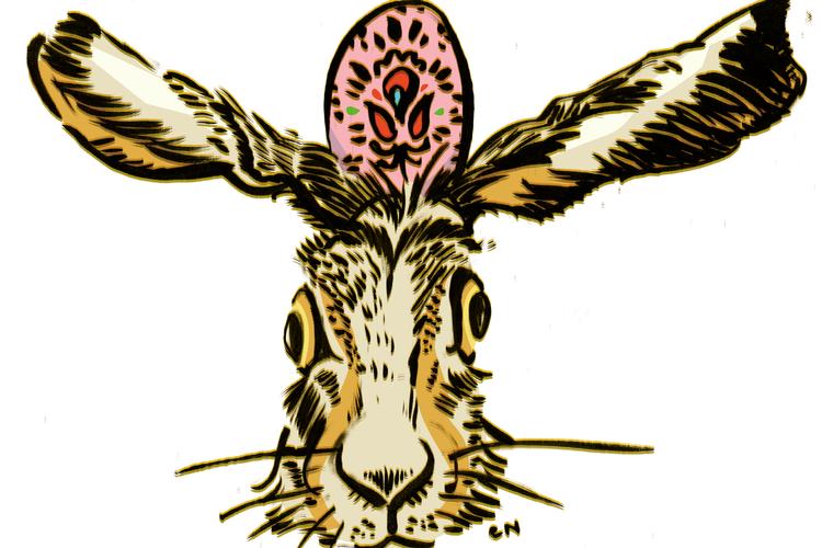 Foto: Claus Nørregaard/POLITIKEN