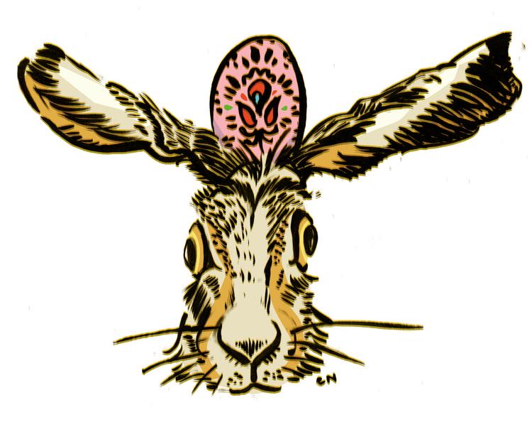 Hvorfor lægger haren æg i haven?
   Foto: Claus Nørregaard/POLITIKEN