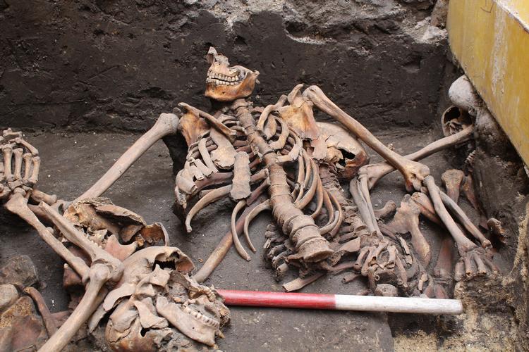 Armstillingen tyder på, at skelettet er blevet slæbt under armene hen i graven. 10 nyfundne skeletter med svære hugskader er fundet i Aalborg og menes at stamme fra Grevens Fejde. Foto: Nordjyllands Historiske Museum
