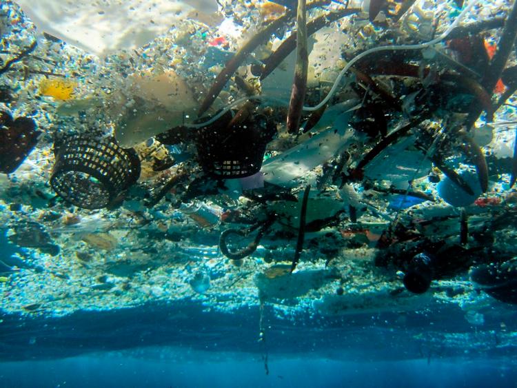 Plastikforurening af havene er et kæmpeproblem. Nu har forskere fået værdifuld ny viden om udviklingen i havene fra en uventet kant. Foto: Uncredited/Ritzau Scanpix