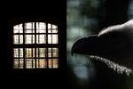 Foto: Jacob Ehrbahn/Philippe Lopez/Ritzau Scanpix 