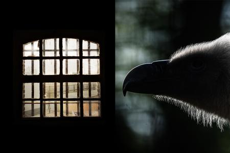 Foto: Jacob Ehrbahn/Philippe Lopez/Ritzau Scanpix 