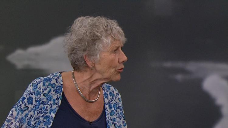 Margrethe Auken i sit angreb på Rina Ronja Kari i debatten på DR i aftes. Foto: Skærmdump fra udsendelsen. 