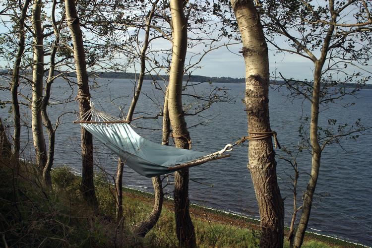 Foto: Lars Hansen/POLNATURE