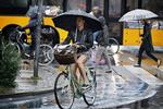 
   Arkivfoto: Regnvejr på Rådhuspladsen i København. Regn, cyklist, trafik.
   Foto: Jens Dresling/POLFOTO