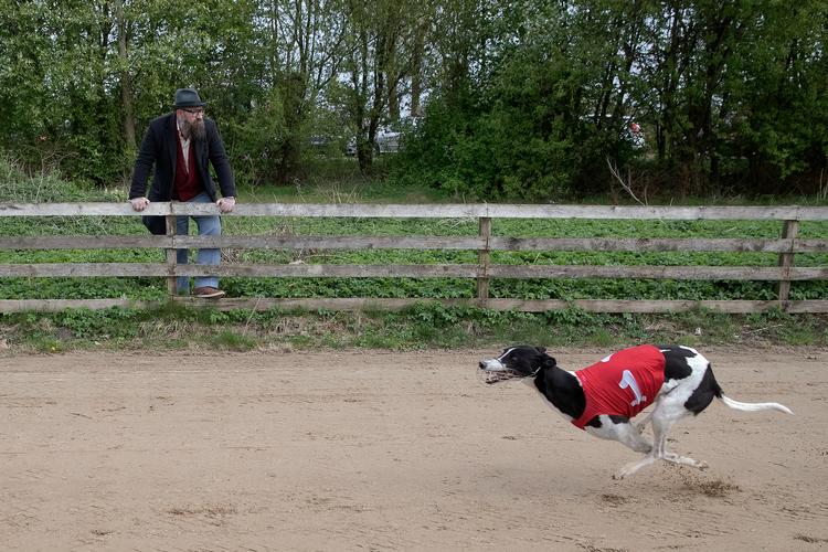 
Kallerupbanen uden for Hedehusene er Danmarks ældste hundevæddeløbsbane. Hvert år afholdes 10 til 12 løb med greyhound og whippet, og deltagerne kommer fra det meste af Danmark og det sydlige Sverige.  Banen er omdrejningspunktet i Claus Høxbroes nye digtsamling.  Foto: Peter Hove Olesen/POLFOTO