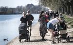 Der er forår i luften de første dage af ugen. Men så bliver det koldt. 
   Foto: Mogens Flindt
