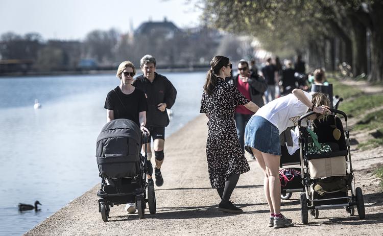 Der er forår i luften de første dage af ugen. Men så bliver det koldt. 
   Foto: Mogens Flindt