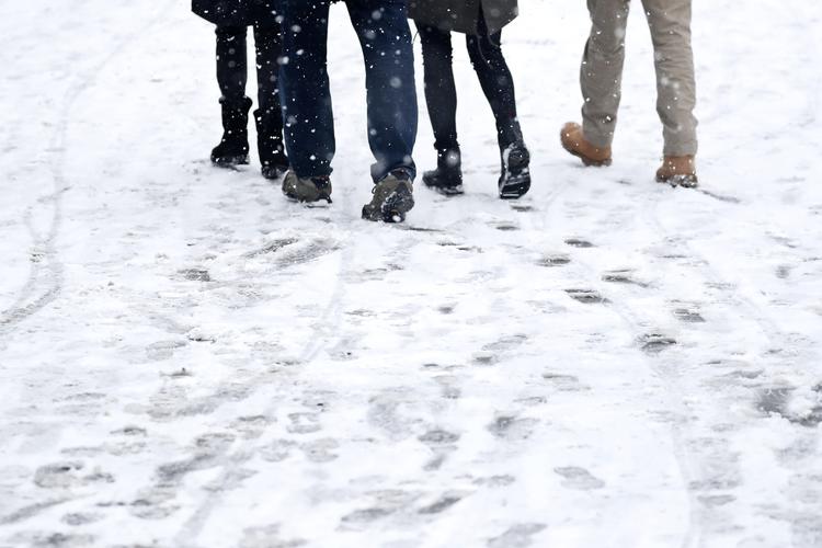 Foto: Jens Dresling/POLFOTO