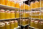 På fabrikken Læsk bliver der produceret kombucha i stor stil, men du kan selv lave det derhjemme. 
   Foto: Finn Frandsen/POLFOTO
