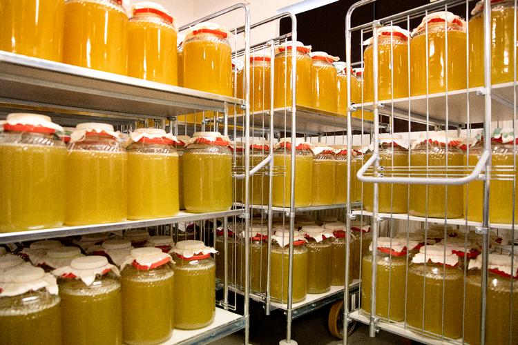 På fabrikken Læsk bliver der produceret kombucha i stor stil, men du kan selv lave det derhjemme. 
   Foto: Finn Frandsen/POLFOTO