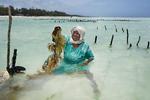 Den store tidevandsforskel på østkysten af Zanzibar gør kystområdet godt til at dyrke tang. Der høstes til eksport af tang dyrket i tidevandszonen, især omkring Paje, men det kræver vådt, hårdt arbejde. Stiklingerne skal hæftes på snore og plejes undervejs, høstes og tørres, før de kan sælges. Det tørrede, knuste tang bruges globalt i mange produkter fra sæbe til slik.  