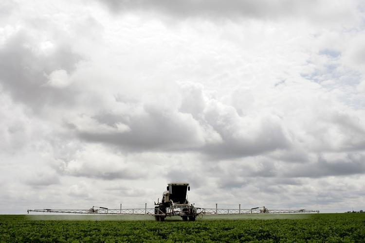 Europæisk landbrug har adgang til hundredvis af sprøjtemidler. Det er uvist hvor mange af midlerne, der er hormonforstyrrende. Foto: Peter Hove Olesen/POLFOTO