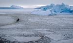 En mindre fiskekutter i ishavet tæt på byen Uummannaq i det vestlige Grønland. Foto: Reuters / Svebor Kranjc. Foto: Reuters Staff/Ritzau Scanpix