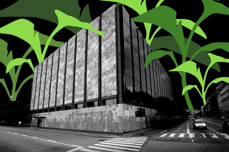 Foto: Morten Bjørn Jensen. Manipulation: Søren Arke