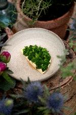 Foto: Peter Hove Olesen/POLFOTO