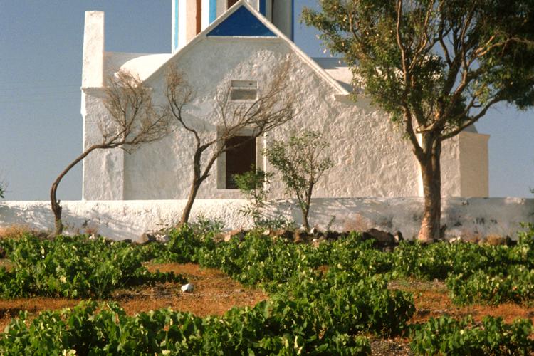 Foto: Grilly, Bernard/Ritzau Scanpix