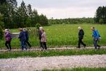 Gangforeningen Taaspidserne ses her på en syv kilometers vandring en aften i maj nær Oxbjerget ved Glostrup.  Foto: Ivan Boll