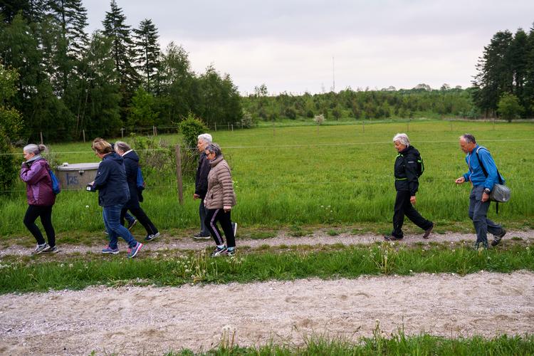 Gangforeningen Taaspidserne ses her på en syv kilometers vandring en aften i maj nær Oxbjerget ved Glostrup.  Foto: Ivan Boll
