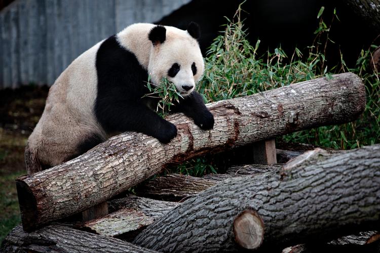 Foto: Martin Lehmann/POLFOTO