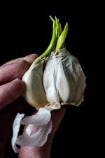 Foto: Niels Hougaard/POLFOTO