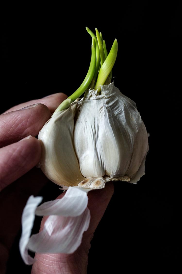 Foto: Niels Hougaard/POLFOTO