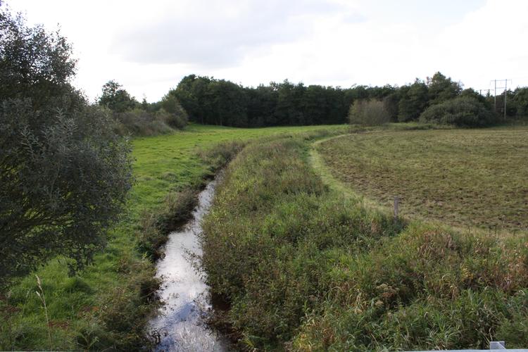 Her er Holme Å blot omkring en meter
bred, fordi vandet i 100 år er blevet ledt
udenom. Ålejet skal tilbage til sin oprindelige bredde på fem-seks meter. Foto: Varde Kommune