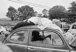 
I 1969 forventede Woodstock-arrangørerne omkring 50.000 gæster. Over 400.000 mødte frem. Foto: AP/Ritzau Scanpix